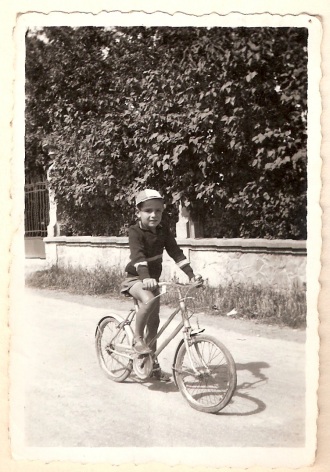 S103F.jpg (74311 byte)